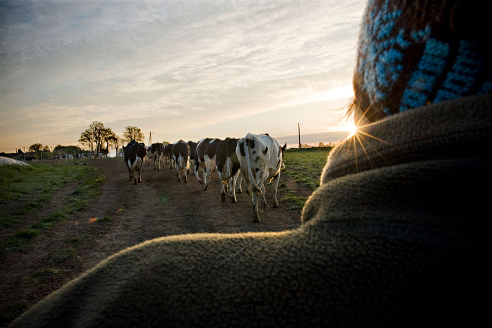 Aurore salariée agricole dans le Limousin
